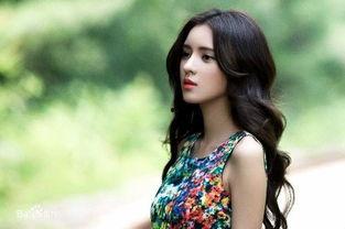 网红成为明星,网络红人的华丽蜕变之路